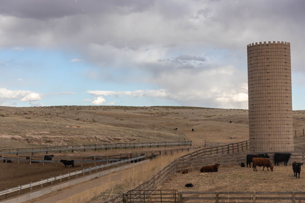 Burlington, Colorado - Farm